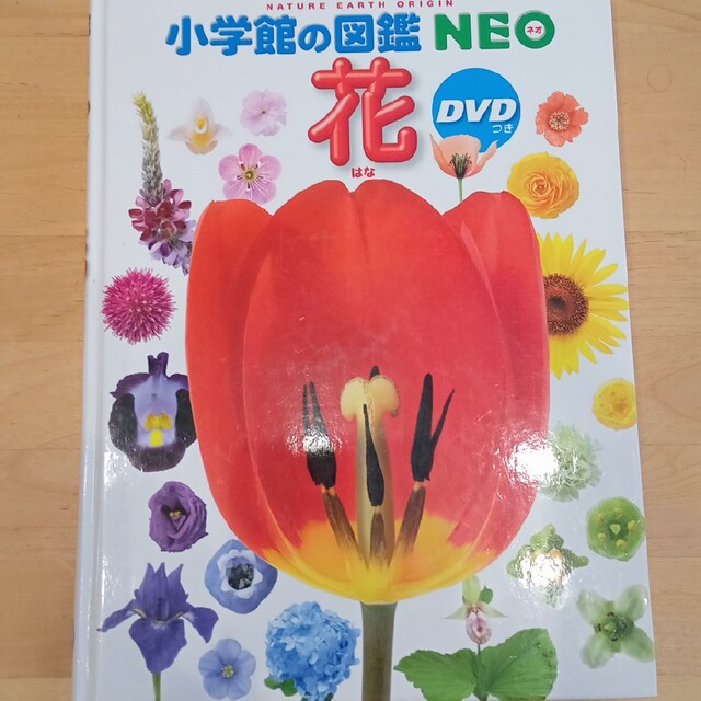 小学館の図鑑　NEO 花 エンタメ/ホビーの本(絵本/児童書)の商品写真