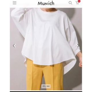 完売品　Munich コットンインターロックジャージー　Tブラウス