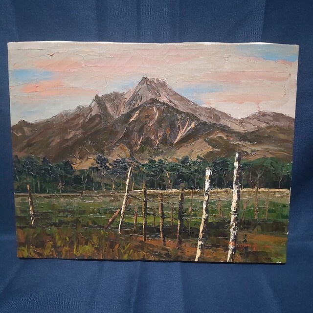 245 絵画 油彩 油絵 風景画 作者不明 八ヶ岳 額装 額縁付き