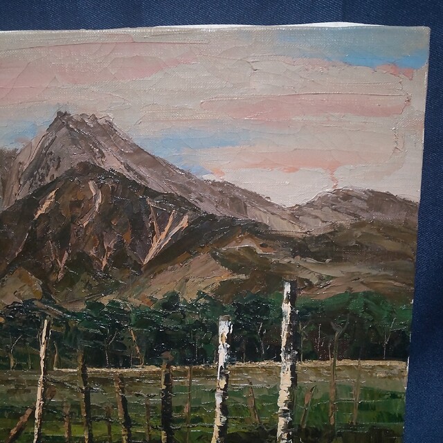 245 絵画 油彩 油絵 風景画 作者不明 八ヶ岳 額装 額縁付き