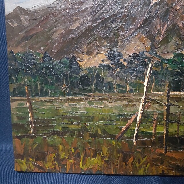 245 絵画 油彩 油絵 風景画 作者不明 八ヶ岳 額装 額縁付き