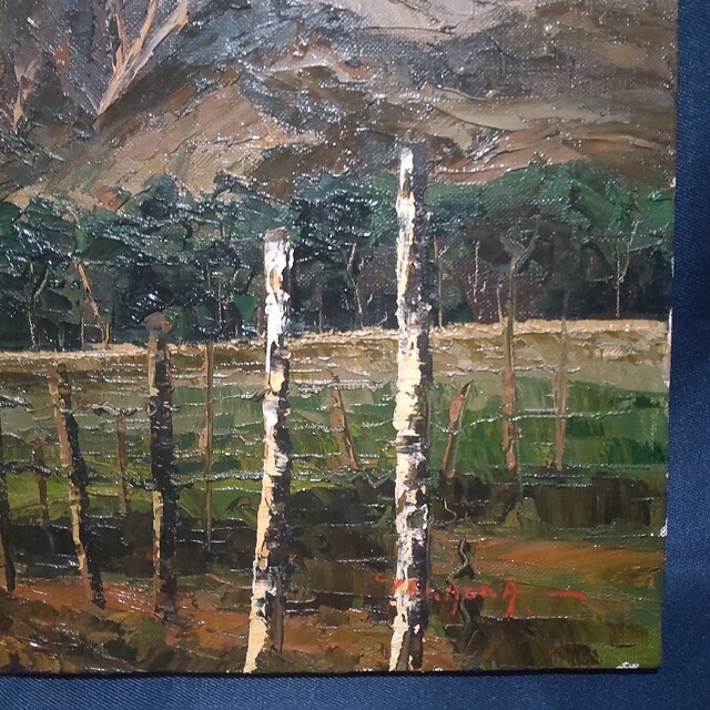 245 絵画 油彩 油絵 風景画 作者不明 八ヶ岳 額装 額縁付き