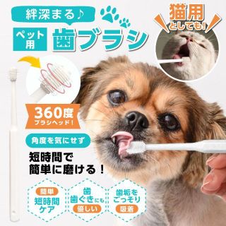 360度ペット用歯ブラシ5本セット(犬)