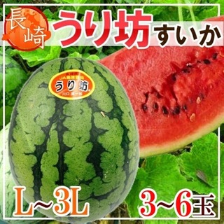 長崎県産うり坊Ｌ〜2L1箱4〜5玉(フルーツ)