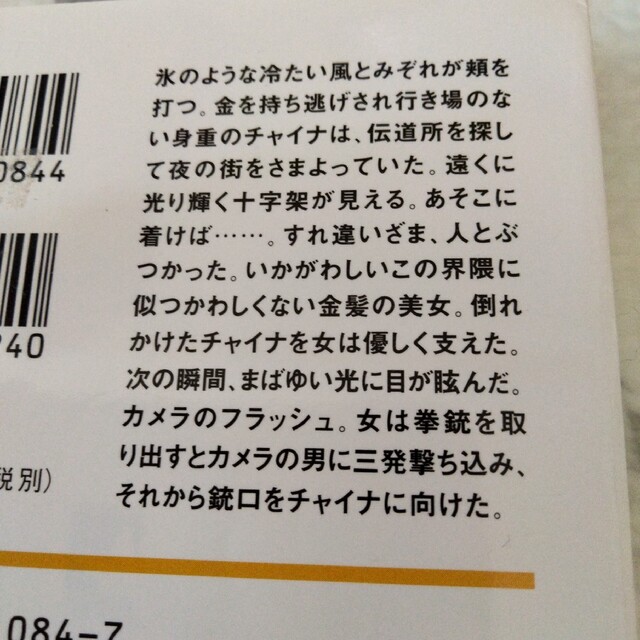 スノ－・バタフライ エンタメ/ホビーの本(その他)の商品写真