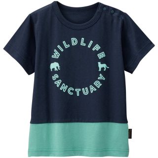 コンビミニ(Combi mini)の【新品】Combi mini バイカラーTシャツ　110(Tシャツ/カットソー)