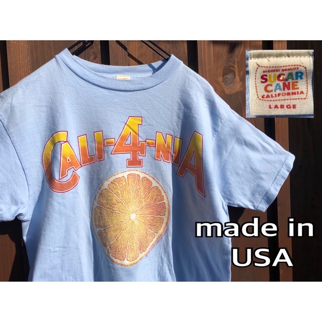Sugar Cane(シュガーケーン)のUSA製　sugar cane 1999 オレンジ　プリント　tシャツ 水色 メンズのトップス(Tシャツ/カットソー(半袖/袖なし))の商品写真