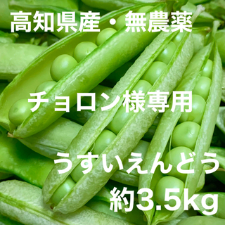 うすいえんどう 約3.5kg えんどう豆 碓井豌豆 エンドウマメ(野菜)