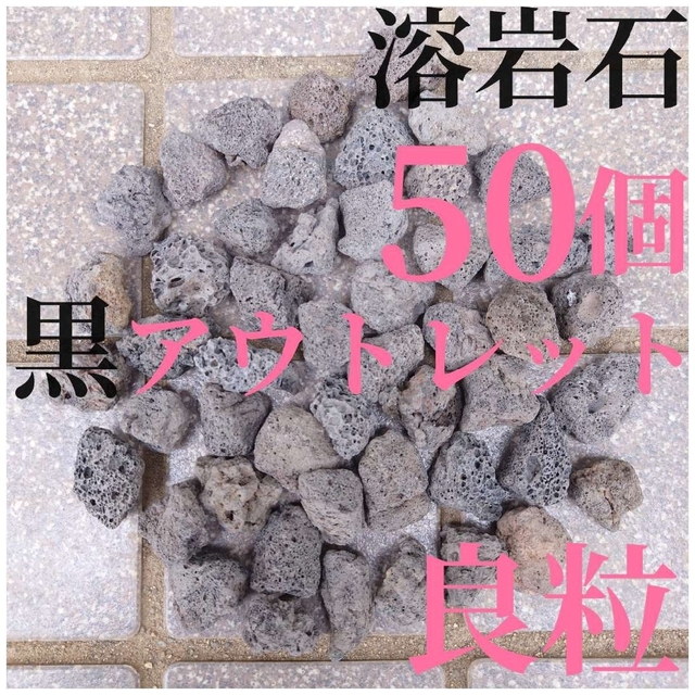 黒溶岩石 50個 (2〜3cmほどの大きさ) 魚用品 | naturesfusions.com