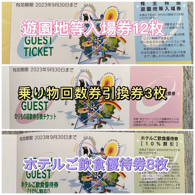 グリーンランドの入場券16枚、のりもの回数券引換3枚2023.9.30 2022公式店舗 10200円