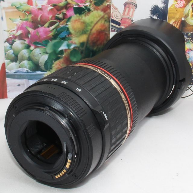 ❤️１本で近くから遠くまでカバー❤️キャノン用 TAMRON 18-200mm 1