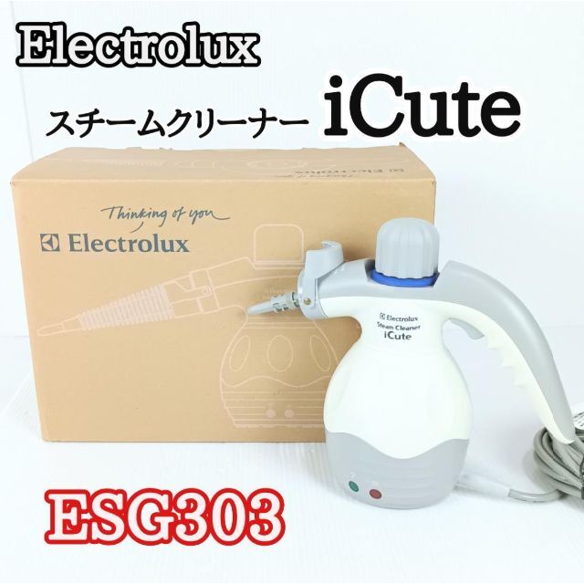 エレクトロラックス スチームクリーナー　iCute  ESG303