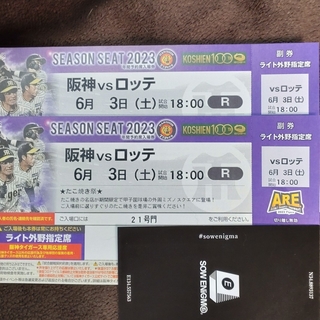 ハンシンタイガース(阪神タイガース)の阪神タイガース　阪神vsロッテ　6/3㈯　ペアチケット(野球)