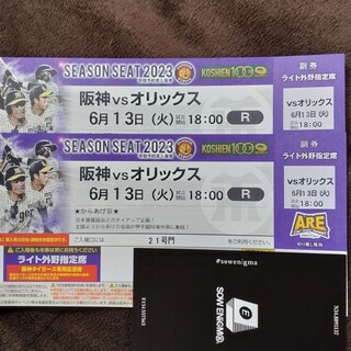 ハンシンタイガース(阪神タイガース)の阪神タイガース　6/13㈫　阪神vsオリックス ペアチケット(野球)