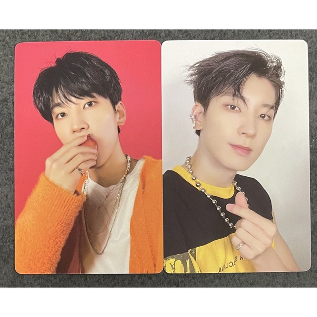 SEVENTEEN - 【ウォヌ】seventeen caratland うちわ picketの通販 by