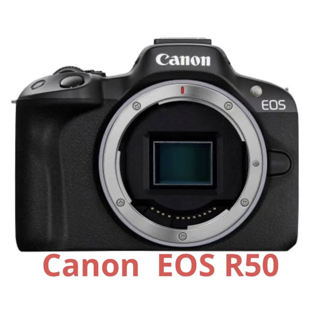 (税込) Canon - 新品同様Canonキヤノン EOS R50 ボディ ブラック ミラーレス一眼