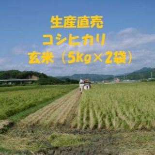 令和４年産新米コシヒカリ 玄米10kg（5kg×２袋）精米・分搗き精米・対応(米/穀物)