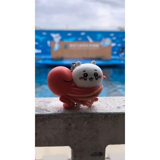 未開封　ちいかわ　水族館　限定　ガチャ　ミズダコ(キャラクターグッズ)