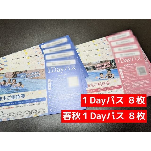 東京都競馬の株主優待 東京サマーランド1Dayパス合計16枚セット - 遊園 ...