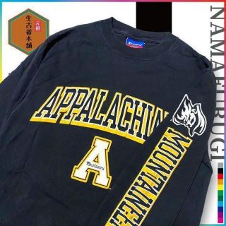 古着 Champion 90s  チャンピオン　カレッジ　袖プリント ビンテージ(Tシャツ/カットソー(七分/長袖))