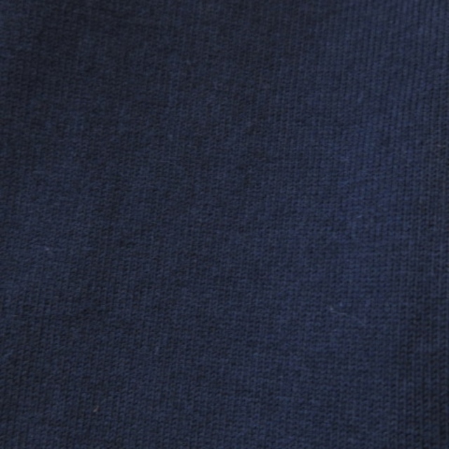 Paul Smith(ポールスミス)のポールスミス 22SS DINO スモールディノ Tシャツ 半袖 ネイビー M レディースのトップス(Tシャツ(半袖/袖なし))の商品写真