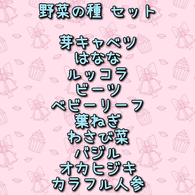 野菜の種 芽キャベツ ベビーリーフ はなな ルッコラ 葉ねぎ オカヒジキ ビーツ 食品/飲料/酒の食品(野菜)の商品写真