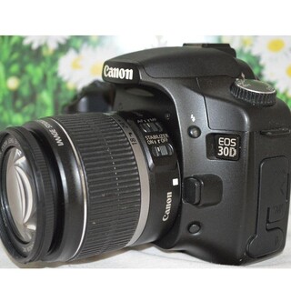 Canon - 【初心者おすすめ】Canon キャノン EOS 30D コスパ抜群 ...