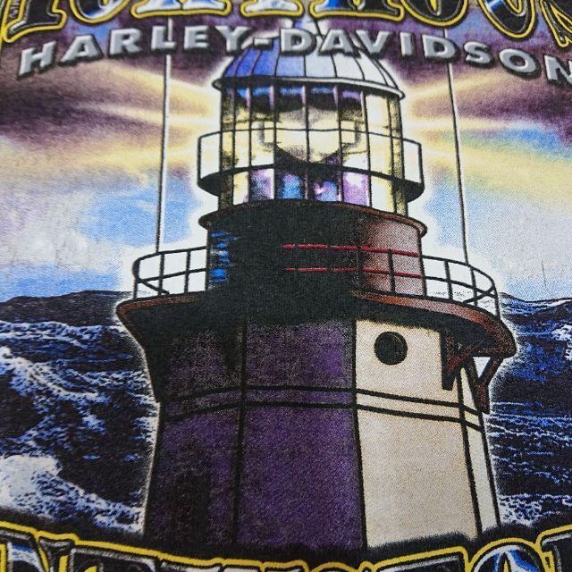 Harley Davidson(ハーレーダビッドソン)のHarley-Davidson タイダイ染め ビッグプリント Tシャツ 古着 メンズのトップス(Tシャツ/カットソー(半袖/袖なし))の商品写真