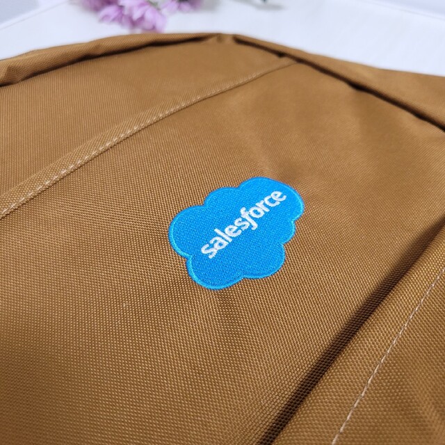 Salesforce 限定リュック 【Carhartt カーハート】 21L メンズのバッグ(バッグパック/リュック)の商品写真