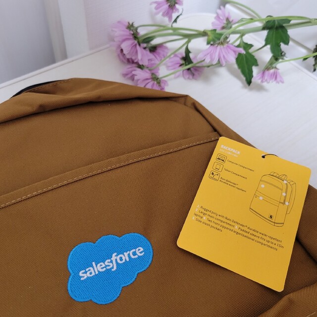 Salesforce 限定リュック 【Carhartt カーハート】 21L メンズのバッグ(バッグパック/リュック)の商品写真