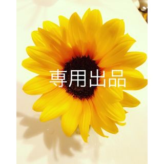 美少年　/ デビュー当時グッズ(アイドルグッズ)