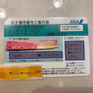 エーエヌエー(ゼンニッポンクウユ)(ANA(全日本空輸))のANA株主優待券(その他)