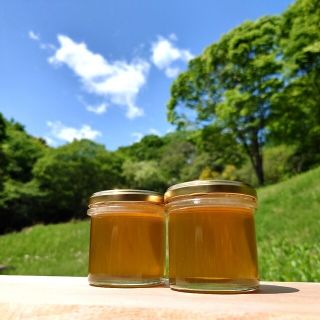 桜の生ハチミツ【150g】×2本 2023/4採蜜の通販 by Honey Comb Lab's