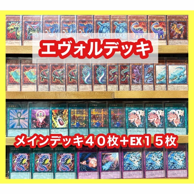 遊戯王 エヴォルデッキ(メインデッキ40枚＋EX15枚)