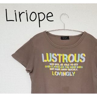 【Liriope リリオープ】プリントTシャツ レディース LLサイズ ブラウン(Tシャツ(半袖/袖なし))