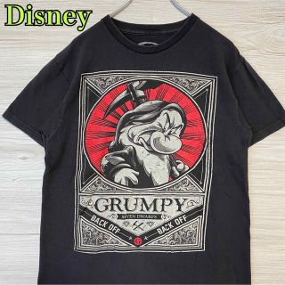 ディズニー(Disney)の【入手困難】Disney 白雪姫 7人の小人　グランピー　Tシャツ　一点物　レア(Tシャツ/カットソー(半袖/袖なし))