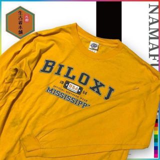 古着 DELTA 90s カレッジ　ミシシッピ　USA　BILOXI ビンテージ(Tシャツ/カットソー(七分/長袖))