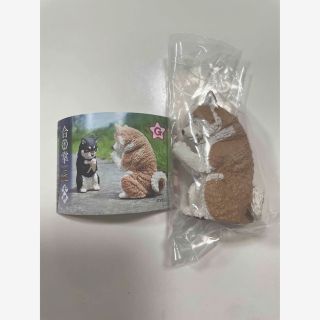 【新品】合掌匠　犬拝　秋田犬(その他)