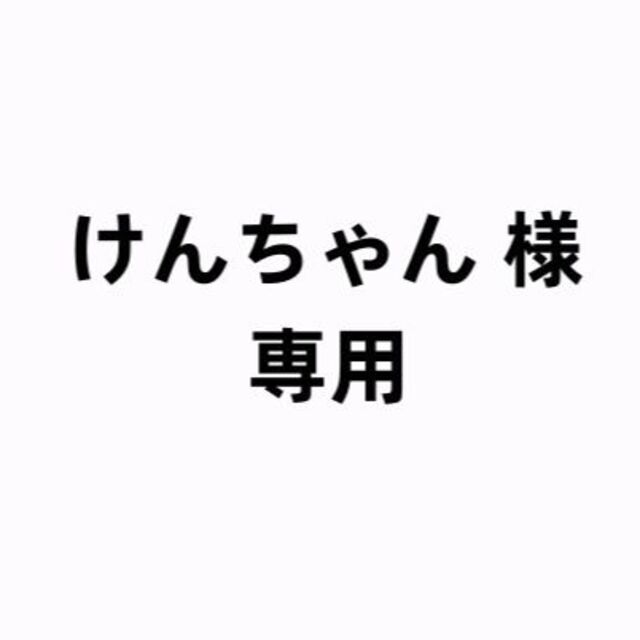 けんちゃん 様専用 【超特価】 35%割引 www.sisteplant.com