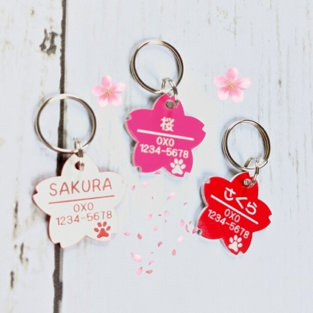 桜型❀·°迷子札❀·° 軽量アクリルプレート   ペット用ネームタグ その他のペット用品(猫)の商品写真