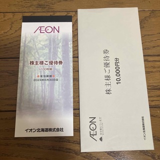 イオン(AEON)のイオン北海道　株主優待券　10000円分(ショッピング)