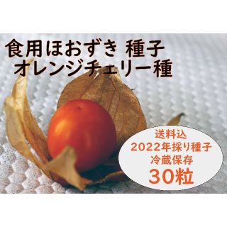 【家庭菜園】【美容効果】 食用ほおずき「オレンジチェリー」種30粒 ワンコイン(野菜)