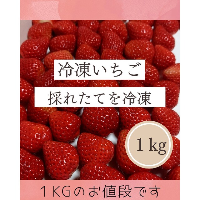 冷凍いちご(1kg)農家直送^^ 食品/飲料/酒の食品(フルーツ)の商品写真