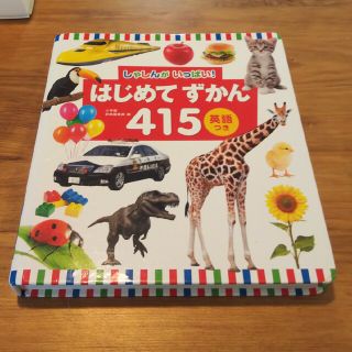 ショウガクカン(小学館)のしゃしんがいっぱい！はじめてずかん 415 英語つき(絵本/児童書)