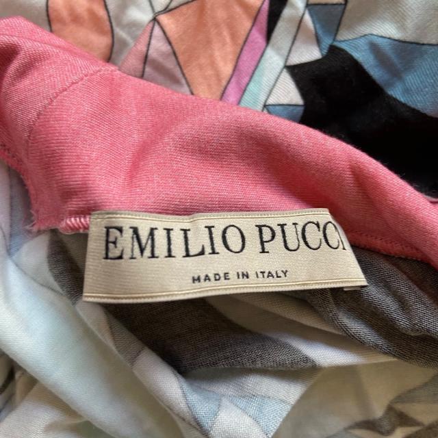 EMILIO PUCCI(エミリオプッチ)のエミリオプッチ 長袖カットソー サイズI 40 レディースのトップス(カットソー(長袖/七分))の商品写真