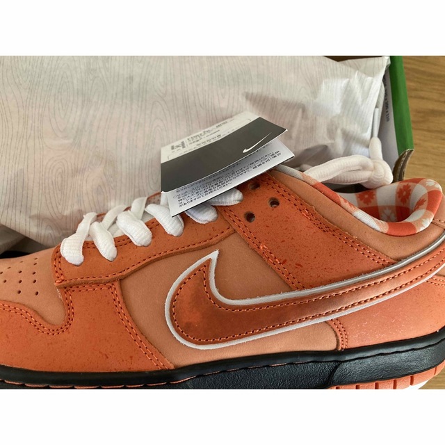 NIKE(ナイキ)のConcepts × Nike SB Dunk Orange Lobster メンズの靴/シューズ(スニーカー)の商品写真