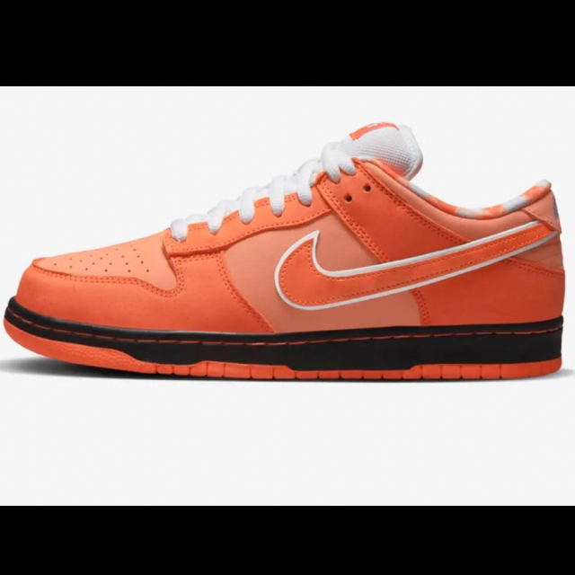 NIKE(ナイキ)のConcepts × Nike SB Dunk Orange Lobster メンズの靴/シューズ(スニーカー)の商品写真