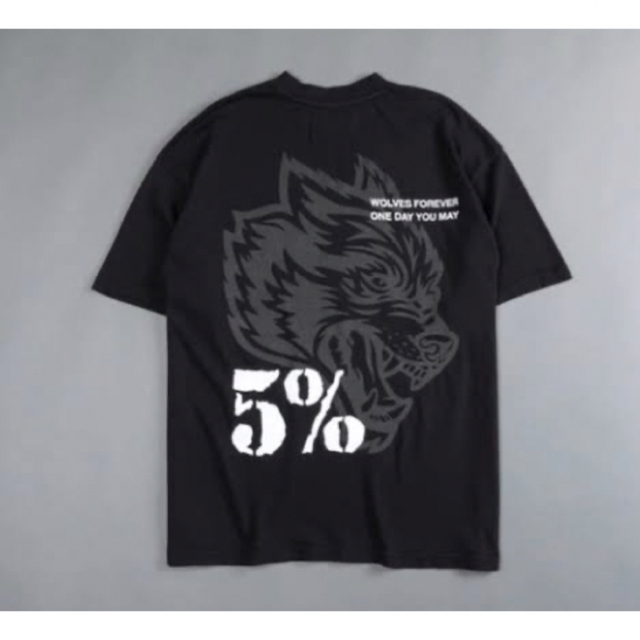 DARC SPORT ダルクスポーツ　Tシャツ　5%　XL