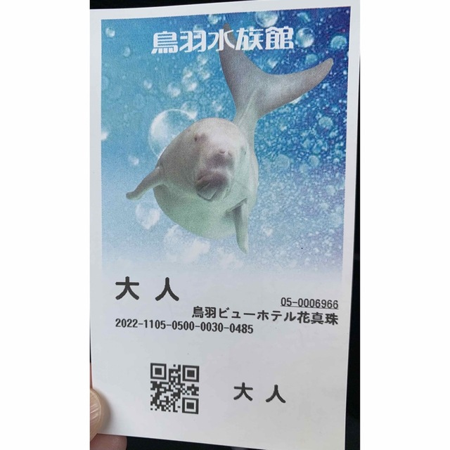 鳥羽水族館　チケット　大人 チケットの施設利用券(水族館)の商品写真