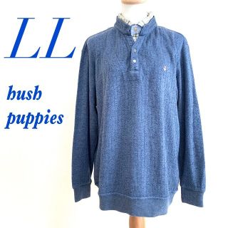 ハッシュパピー(Hush Puppies)のhush puppies ハッシュパピー　ブルー　レイヤード　シャツ　犬(ポロシャツ)